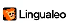 Lingualeo: Образование Брянска